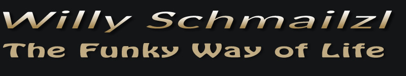Willy Schmailzl - WS Band